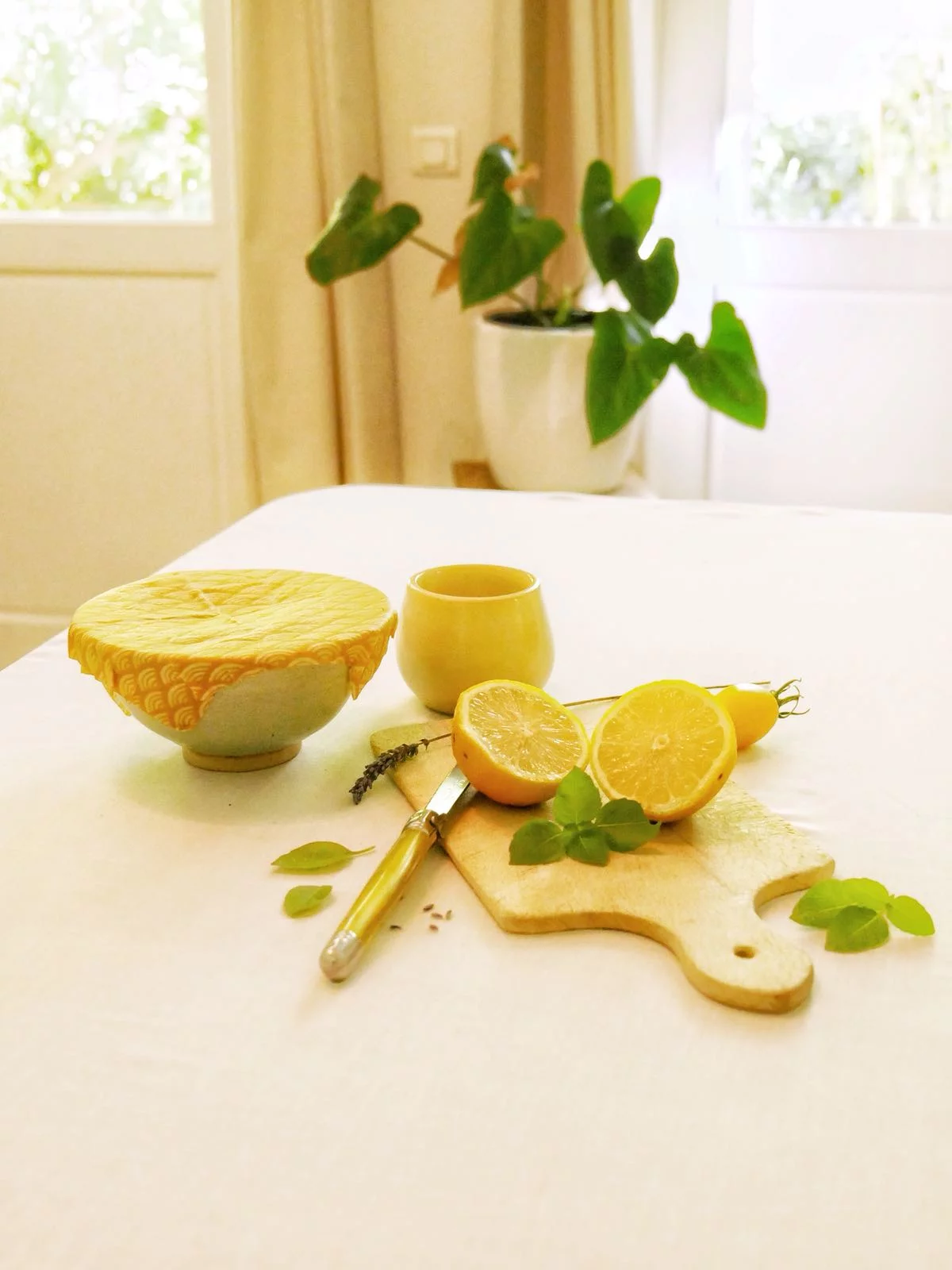Le pack fruité: 6 bee wraps taille S – Image 4