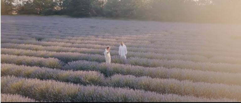champ de lavande et apiculteurs