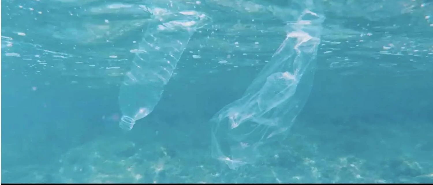 Pollution plastique en mer