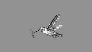 16 petits gestes écologiques pour faire comme le colibri